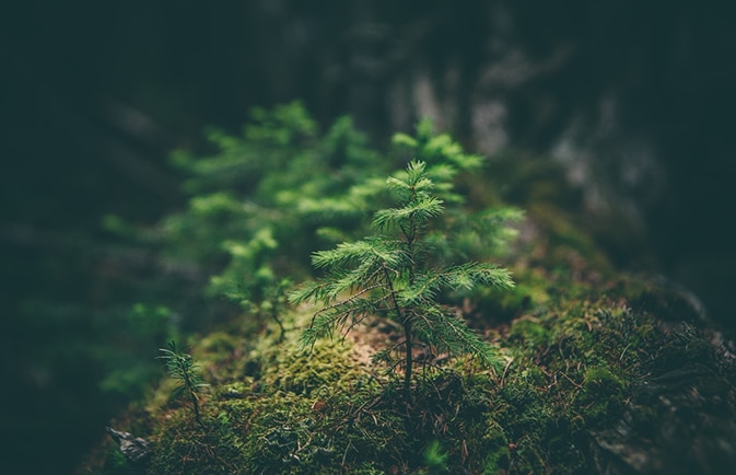 Advanced Technology with Environmental Benefits
